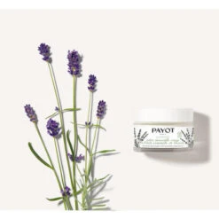 Payot Herbier Crème Universelle Visage à L'huile Essentielle De Lavande 50 Ml -Payo Haarpflege Geschaft 1402986 Payot Herbier Creme Universelle visage a l huile essentielle de lavande 50 ml.6222cecf