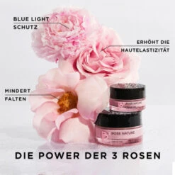 ANNEMARIE BÖRLIND ROSE NATURE SUPREME GLOW GESCHENK-SET Limited Edition 11 ANNEMARIE BÖRLIND ROSE NATURE SUPREME GLOW GESCHENK-SET Limited Edition -Payo Haarpflege Geschaft 2541327 ANNEMARIE BOERLIND ROSE NATURE SUPREME GLOW GESCHENK SET Limited Edition.8704c7d9