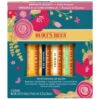 Burt's Bees Burt´s Bees Balm Bouquet Gift Set -Payo Haarpflege Geschaft 2542110 Burt s Bees Balm Bouquet Gift Set.080c3fe1
